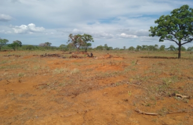 Fazenda para venda em Felixlandia